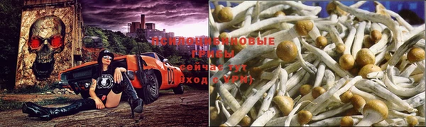МДМА Волосово