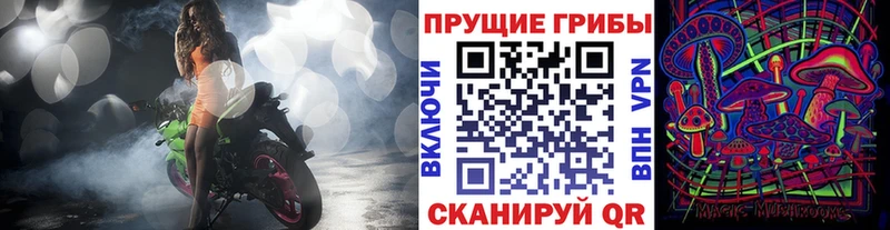Галлюциногенные грибы прущие грибы  сколько стоит  Чухлома 
